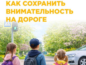 Как сохранить внимательность на дороге?.