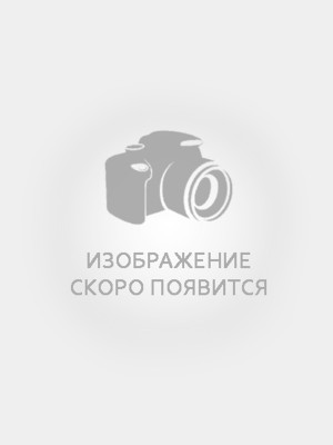 Затонская Алена Андреевна